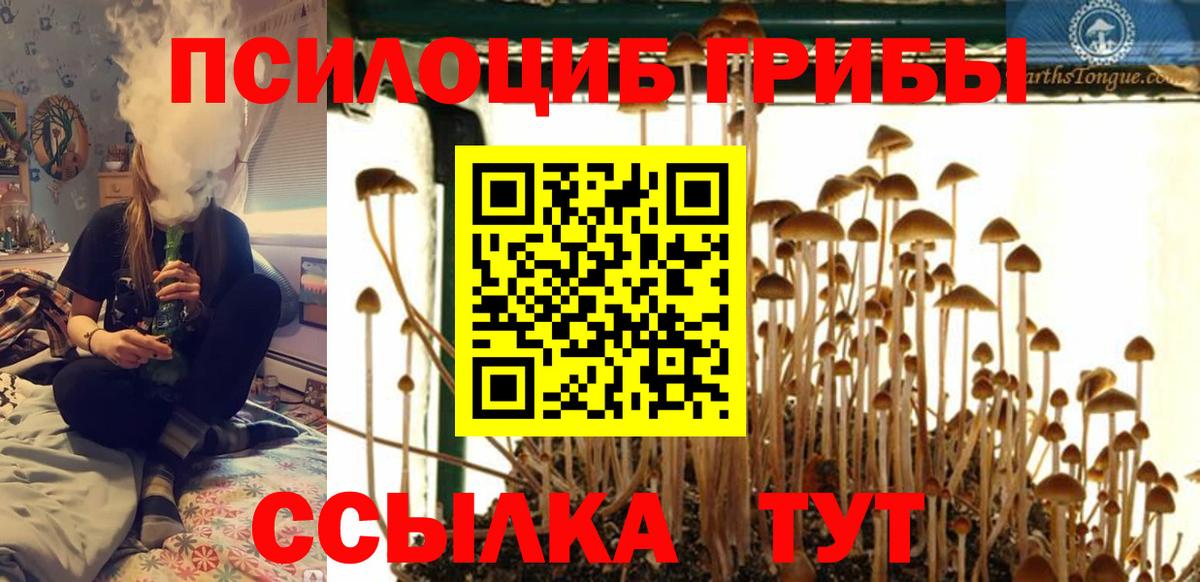 Псилоцибиновые грибы Magic Shrooms  Вход с VPN  Галлюциногенные грибы Magic Shrooms  Альметьевск 